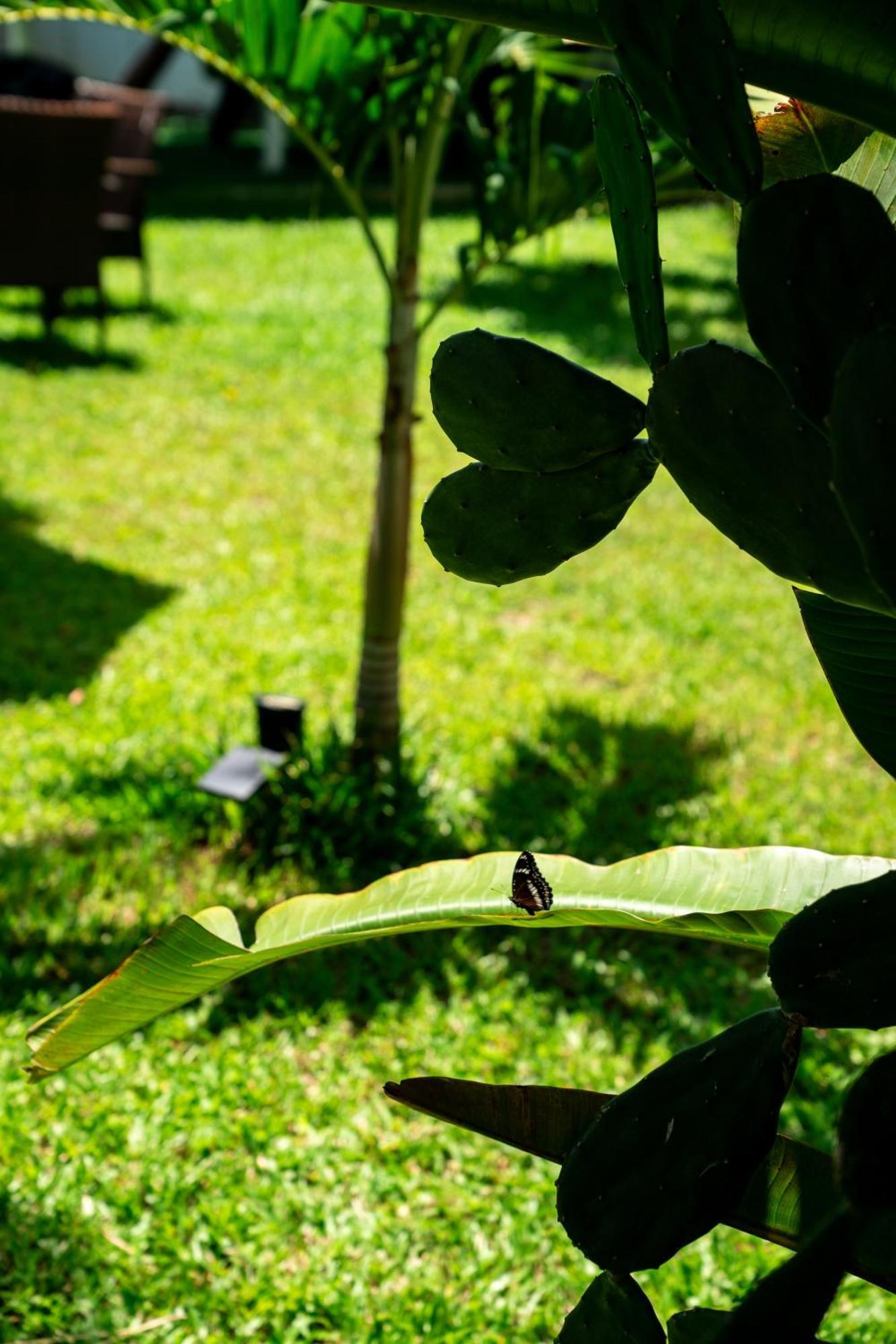 Koh Samui Resort & Restaurant Taling Ngam (Koh Samui) Exterior foto